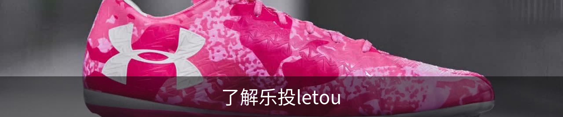 了解乐投letou